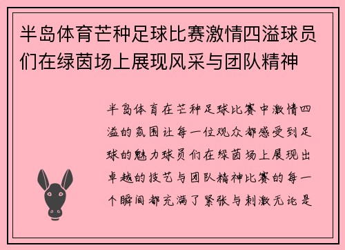 半岛体育芒种足球比赛激情四溢球员们在绿茵场上展现风采与团队精神