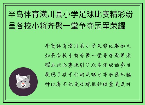 半岛体育潢川县小学足球比赛精彩纷呈各校小将齐聚一堂争夺冠军荣耀