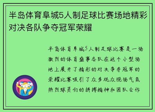 半岛体育阜城5人制足球比赛场地精彩对决各队争夺冠军荣耀
