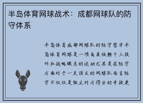 半岛体育网球战术：成都网球队的防守体系