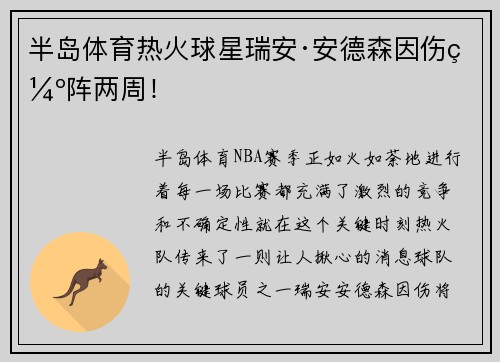 半岛体育热火球星瑞安·安德森因伤缺阵两周！