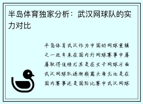 半岛体育独家分析：武汉网球队的实力对比